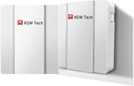 XGW Digital Technology(Shenzhen)co.,Ltd - Speicher - LP4805/4810 LP4810 - Art. 28095