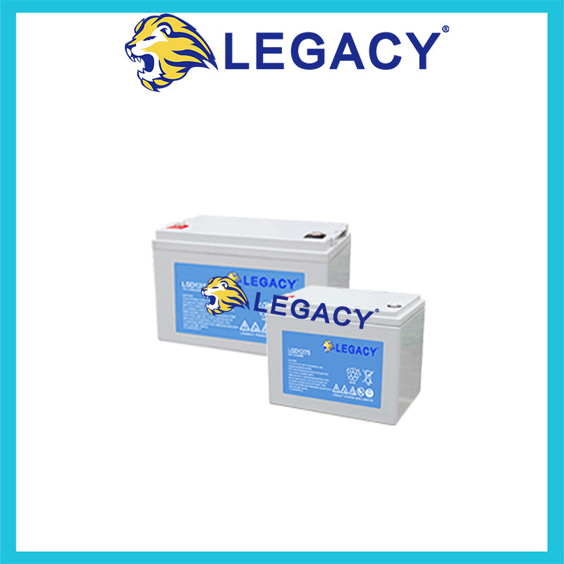 Beijing Shike Power Technology Co., Ltd. (Legacy) - Speicher - Legacy LGD12/100 LGD12/100 - Art. 33534
