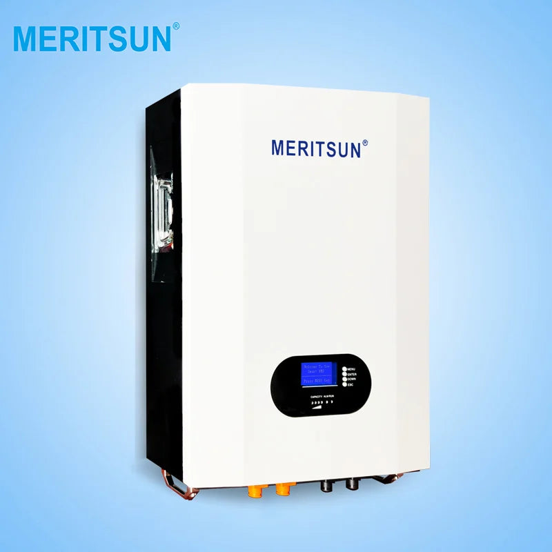 Sun Electronics International Inc. - Speicher - MeritSun Power
                                                        LiFePO4 Battery Pack 48V LFP200-48 - Art. 31346
