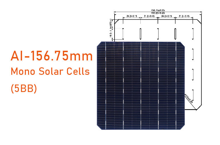 Changzhou Aoli Energy Technology Co., Ltd. - Zellen - M2 156.75MM5BB 5,42W - Art. 24632