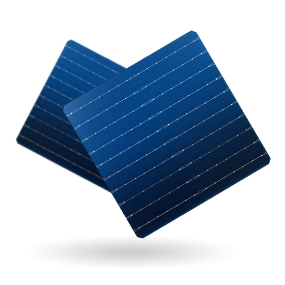 Anhui Shijing Solar Power Technology Co., Ltd. - Zellen - N-type TOPCon 183.75-10BB 8 - Art. 28339