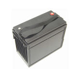 Shenzhen Leadhoo Battery Co., Ltd. - Speicher - NP134-12D NP134-12D - Art. 13563