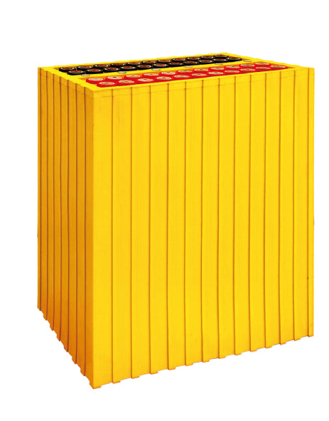 Oriental Lion New Power Battery Co., Ltd. (Thundersky Winston) - Speicher - TSWB-LYP10000AHA TSWB-LYP10000AHA - Art. 28504