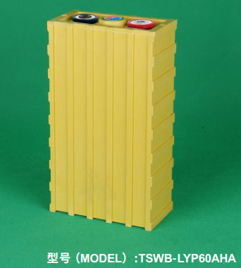 Oriental Lion New Power Battery Co., Ltd. (Thundersky Winston) - Speicher - TSWB-LYP60AHA TSWB-LYP60AHA - Art. 28493