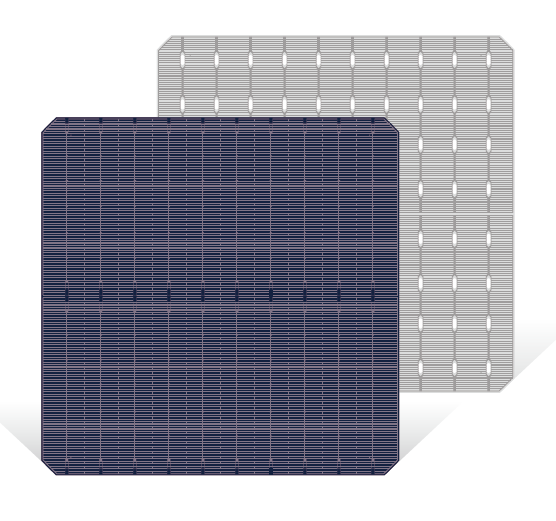 TN Solar Co., Limited - Zellen - PERC 182mm 10BB 7,43 - Art. 26918
