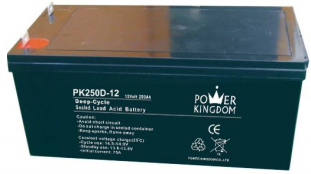 Shenzhen Power Kingdom Co., Ltd. - Speicher - PK250D-12 PK250D-12 - Art. 1099