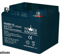 Shenzhen Power Kingdom Co., Ltd. - Speicher - PK40D-12 PK40D-12 - Art. 1125