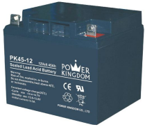 Shenzhen Power Kingdom Co., Ltd. - Speicher - PK45-12 PK45-12 - Art. 449