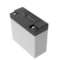 Dongguan Power Long Battery Technology Co., Ltd. - Speicher - PT-12.8-76.8V PT-25,6V9Ah - Art. 35637