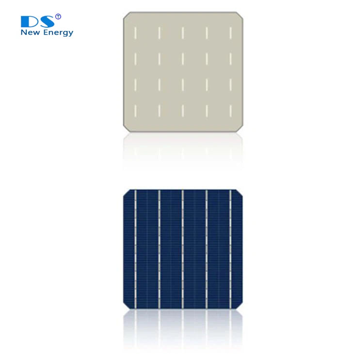 Zhejiang Dong Shuo New Energy Co., Ltd. - Zellen - P Type Mono PERC 156.75 Solar Cell 9 - Art. 29410