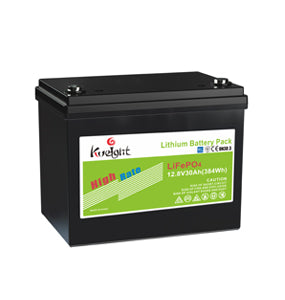 Shenzhen Kweight Development Co.,Ltd - Speicher - QL12V-30Ah LFP Battery QL12-30 - Art. 19601