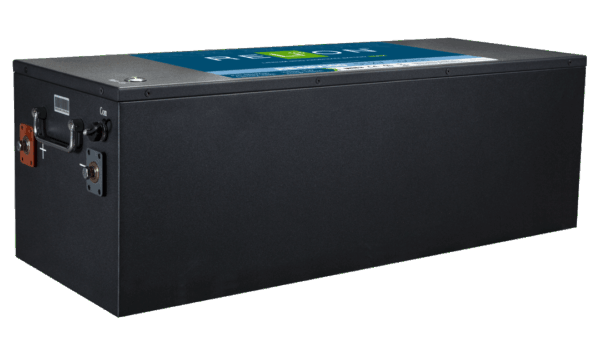 Relion Batteries - Speicher - RB48V100 RB48V100 - Art. 12781