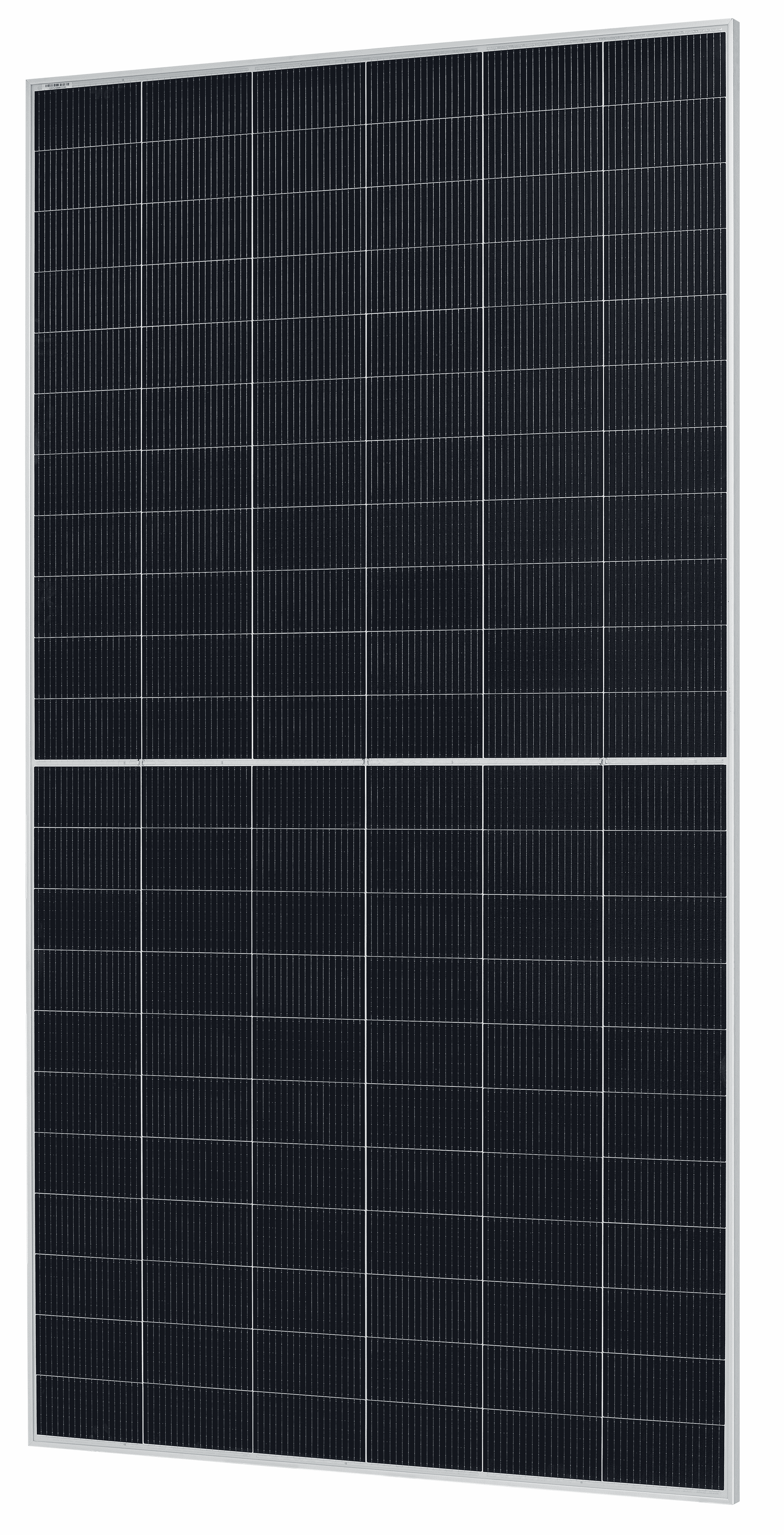 RISEN Solarmodul RSM120-8-600BMDG 585-610 1500 V Silber Rahmen