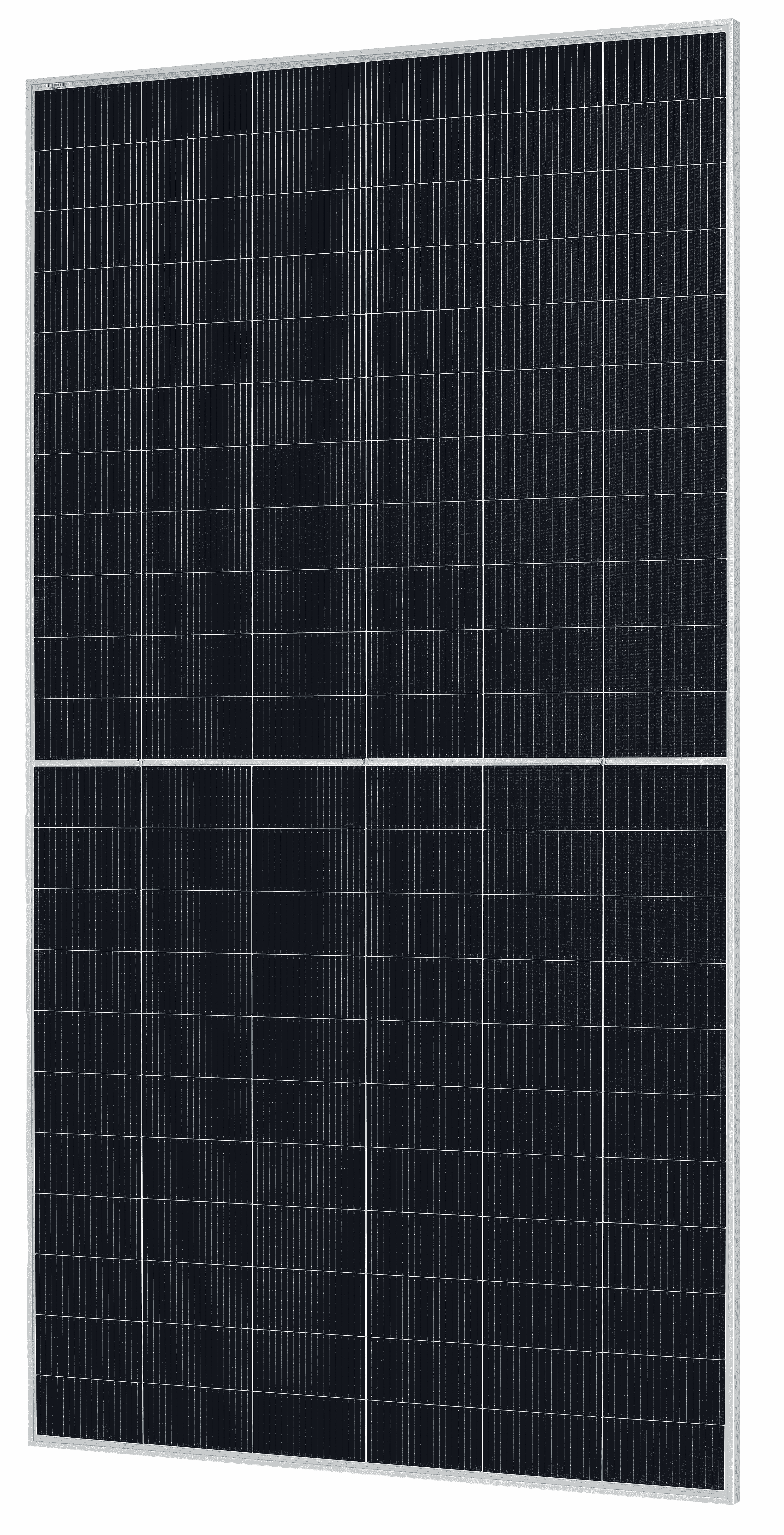RISEN Solarmodul RSM120-8-600BMDG 585-610 1500 V Silber Rahmen
