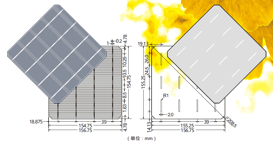 Jiangxi Risun Solar Energy Co., Ltd. - Zellen - RSC156M-PID Resistant 4BB 4,99 - Art. 25534