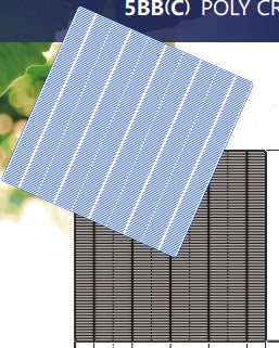 Jiangxi Risun Solar Energy Co., Ltd. - Zellen - RSC156P(DW)-PID Resistant 4BB(D) 4,62 - Art. 25536