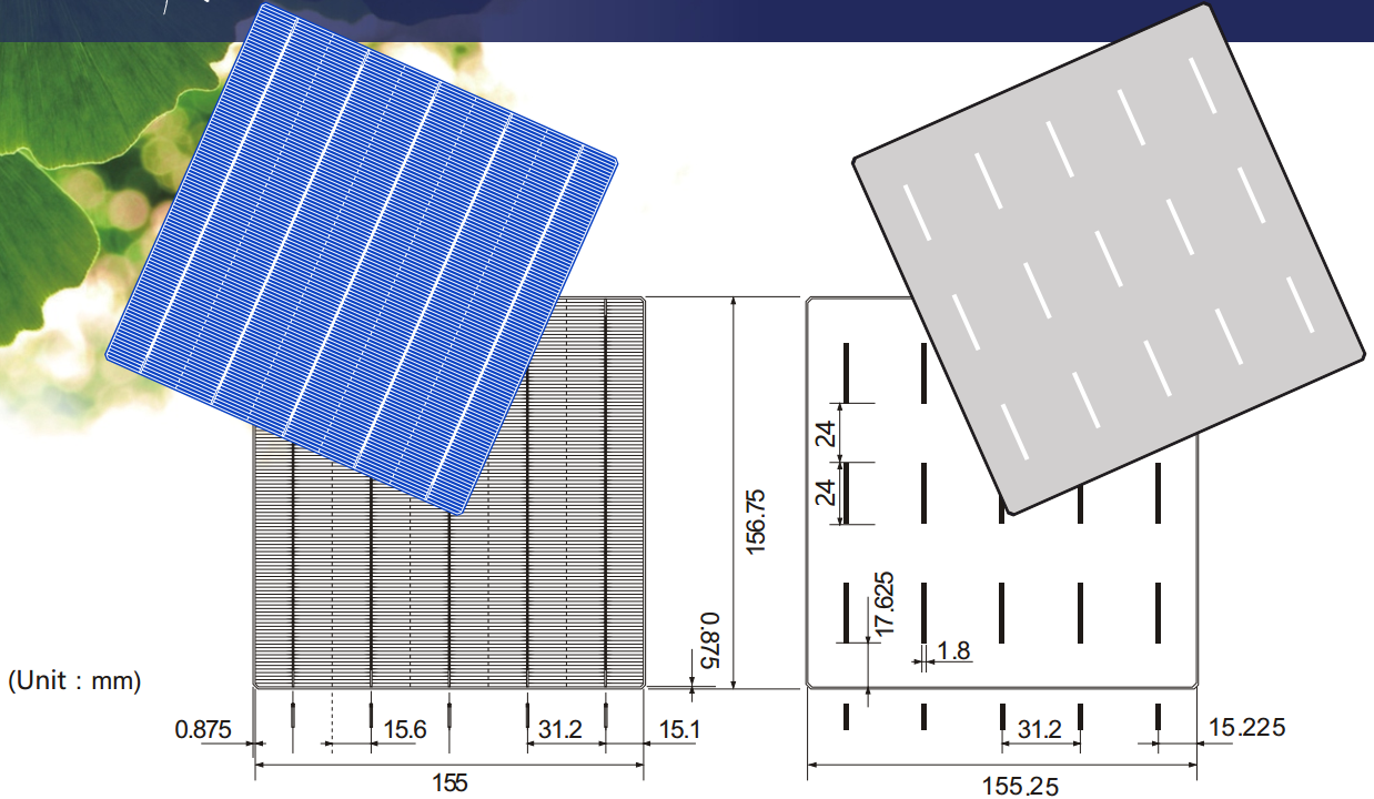 Jiangxi Risun Solar Energy Co., Ltd. - Zellen - RSC156P(E)-PID 5BB(C) 4,57 - Art. 16814