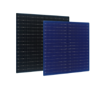 Jolywood (Suzhou) Solar Technology Co., Ltd - Zellen - R series ZL-N183.75R16B-L24-T4 Bifacial n-TOPCon 8,1 - Art. 28401