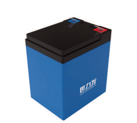 Shenzhen Shilifa Technology Co., Ltd. (SLIONE) - Speicher - S12-06\S12-08 S12-06 - Art. 35322