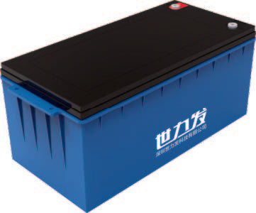Shenzhen Shilifa Technology Co., Ltd. (SLIONE) - Speicher - S12-400\S24-100\S24-200 S24-100 - Art. 35331