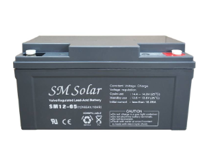 SM Solar Pte Ltd - Speicher - SM12-65 SM12-65 - Art. 38701