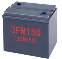 Quanzhou Singlang Electric Technology Co., Ltd. - Speicher - SNG06150 SNG06150 - Art. 11780