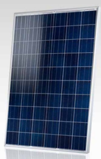 Brandoni Solare Spa - Solarmodul - STANDARD 260 - Art. 31007