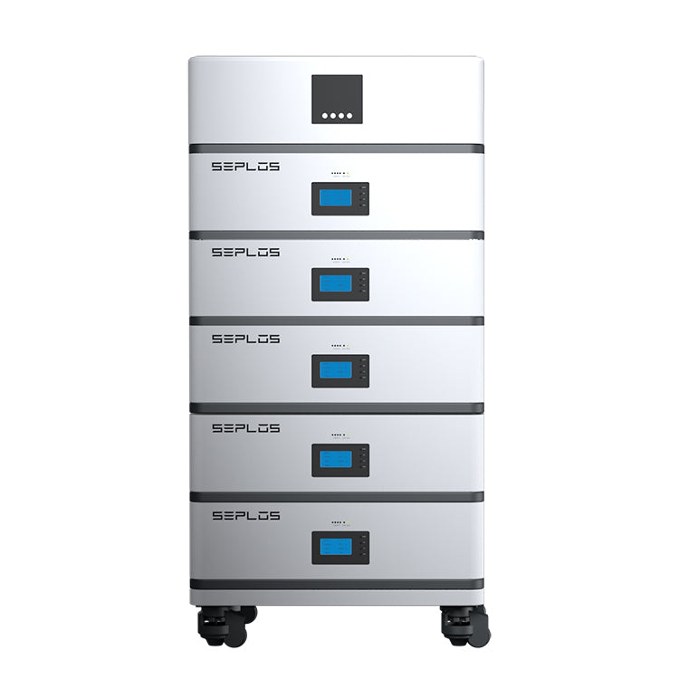Shenzhen Seplos Technology Co., Ltd. - Speicher - Seplos Xtreme LiFePO4 Battery Pack Xtreme-20,48 - Art. 34487