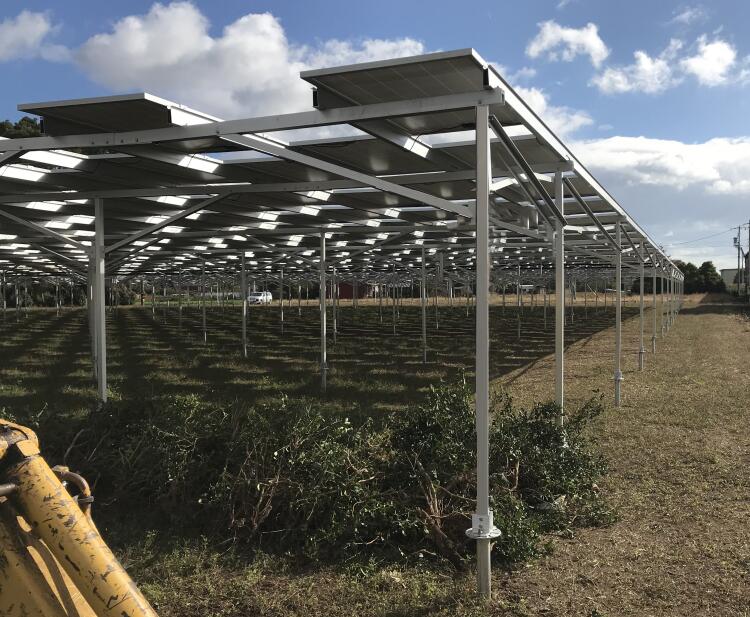 Xiamen Photons Solar Technology Co., Ltd. - Montagesysteme - Solar Farm Mounting Agricultural farmland mounting system - Art. 7008