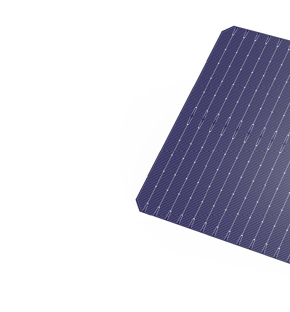 TN Solar Co., Limited - Zellen - TOPCon 182mm 16BB 7,73 - Art. 26975