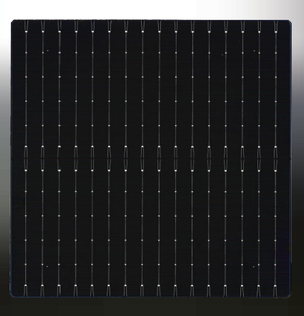 United Renewable Energy Co., Ltd. - Zellen - TOPCon Series NSEZC Ultra-Efficient (Bifacial) 244 - Art. 27134