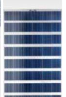 Brandoni Solare Spa - Solarmodul - TRASPARENTE 48 BRP6348064TF-165 - Art. 31101