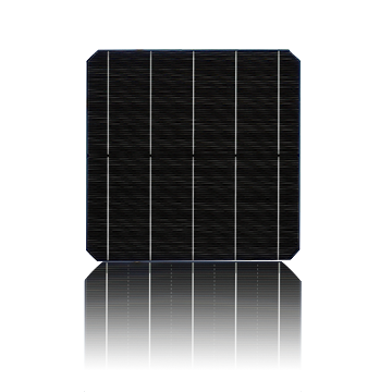 TSEC Corporation - Zellen - TSS65TN (4Pads) 222 - Art. 23280