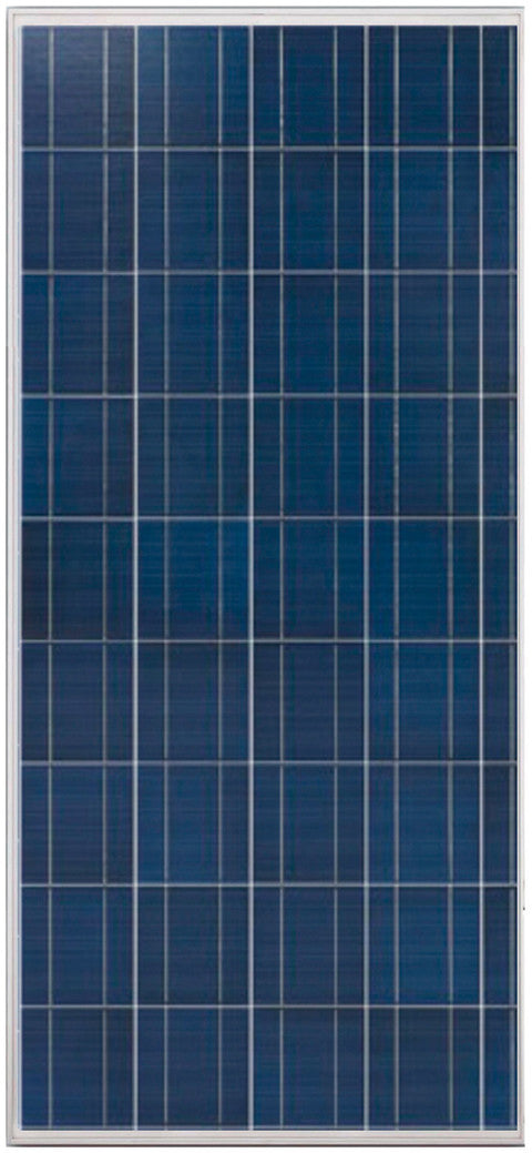 Trienergia Solarmodul TRI150PA