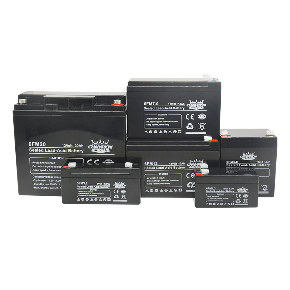 Champion Power Tech Co., Ltd. - Speicher - VRLA Battery 3FM200 - Art. 34457