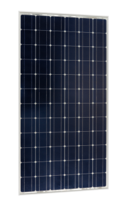 Victron 130W Mono Solar Module - Silver Frame/White Backsheet