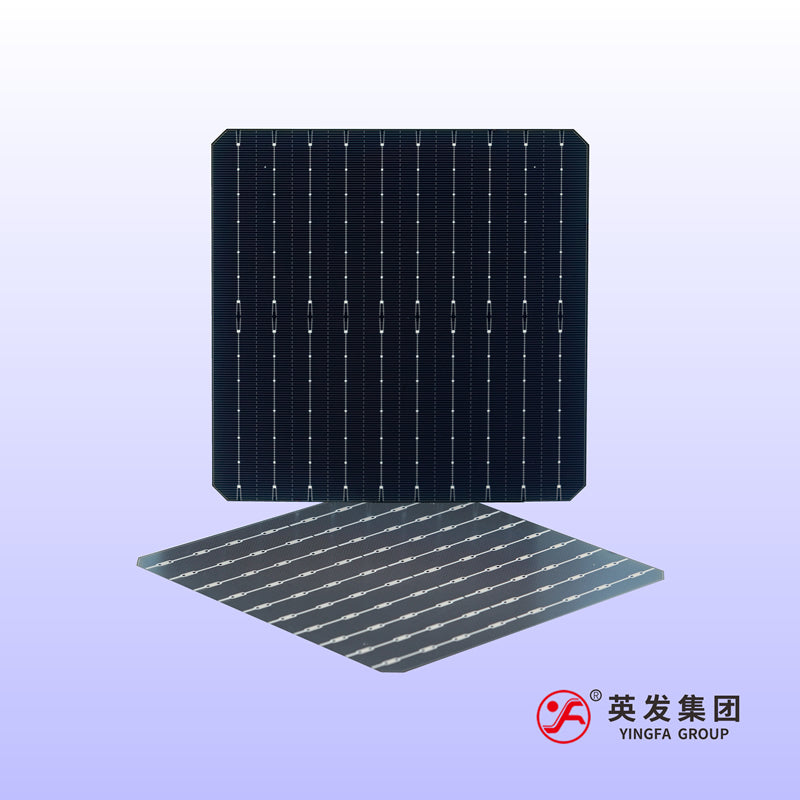 Anhui Yingfa Ruineng Technology Co., Ltd. - Zellen - YF-M10-182-10BB A2280 - Art. 25964