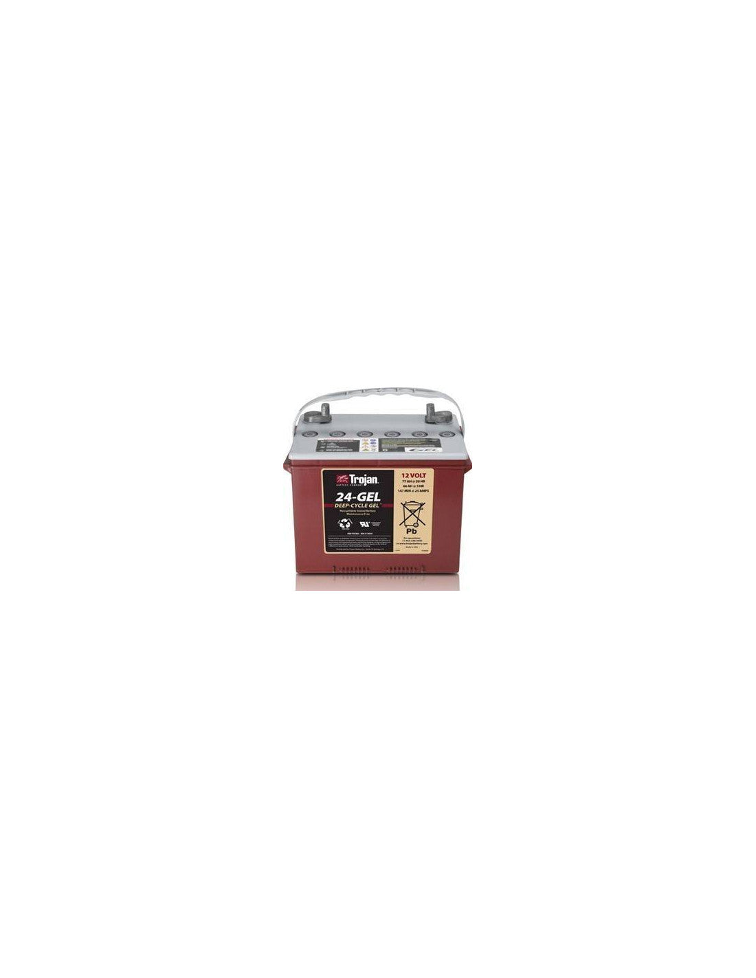 Batterie Trojan 24GEL 85Ah 12V
