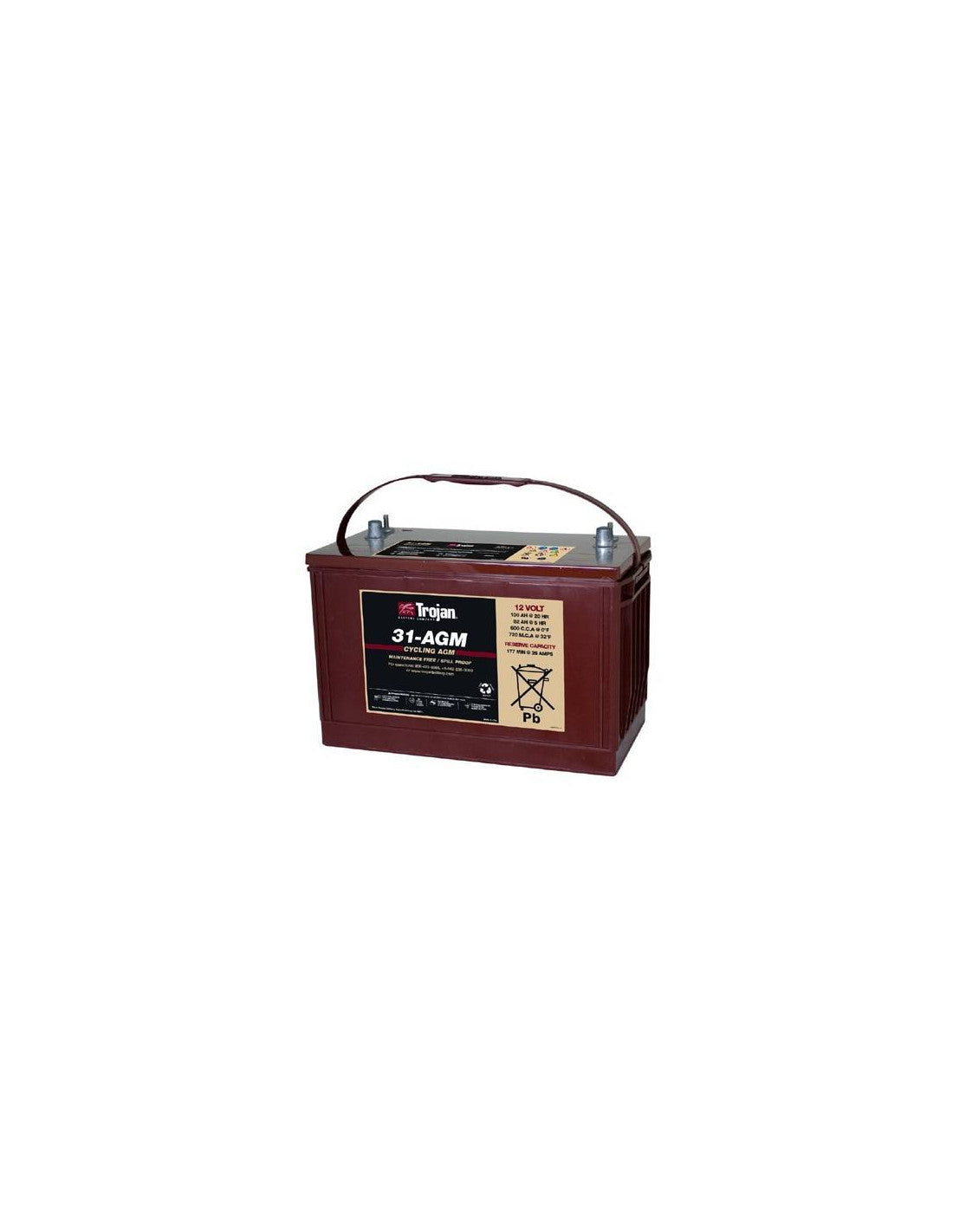 Batterie Trojan 31-AGM 12V 108Ah