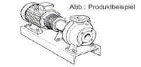 Lowara Norm-Kreiselpumpen aus Grauguss NSCF 150-250/300/W45VCC4