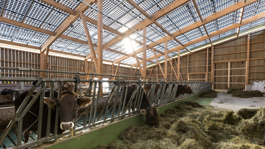 Galaxy Energy GmbH - Montagesysteme - free running stabels free running stabels - Art. 5195