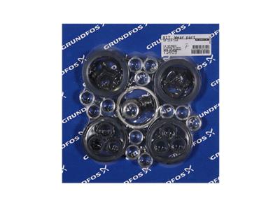 Grundfos Maßgeschneiderte Dienstleistung Verschleißteile (Reparatursatz) -Art. 75009
