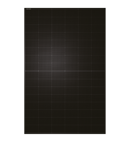 TW Solar Solarmodule TWMNH-48HC450 Glas-Glas, bifazial, full black, MC4-EVO 2