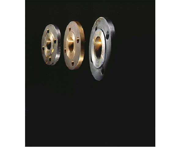 GRUNDFOS Vorschweißflansche DN 32; PN 06 -Art. 539904
